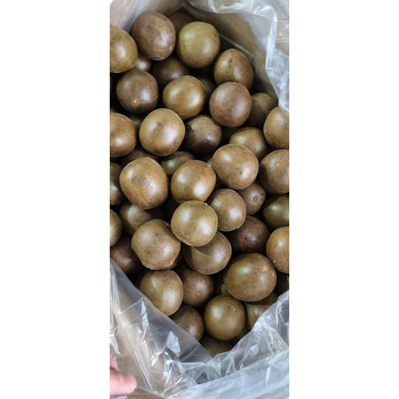 Quả La Hán Khô Nguyên Quả | Quả Chắc Đặc Ruột Thơm Ngọt Thanh Hàng Đẹp Không Vụn Vỡ 500gr