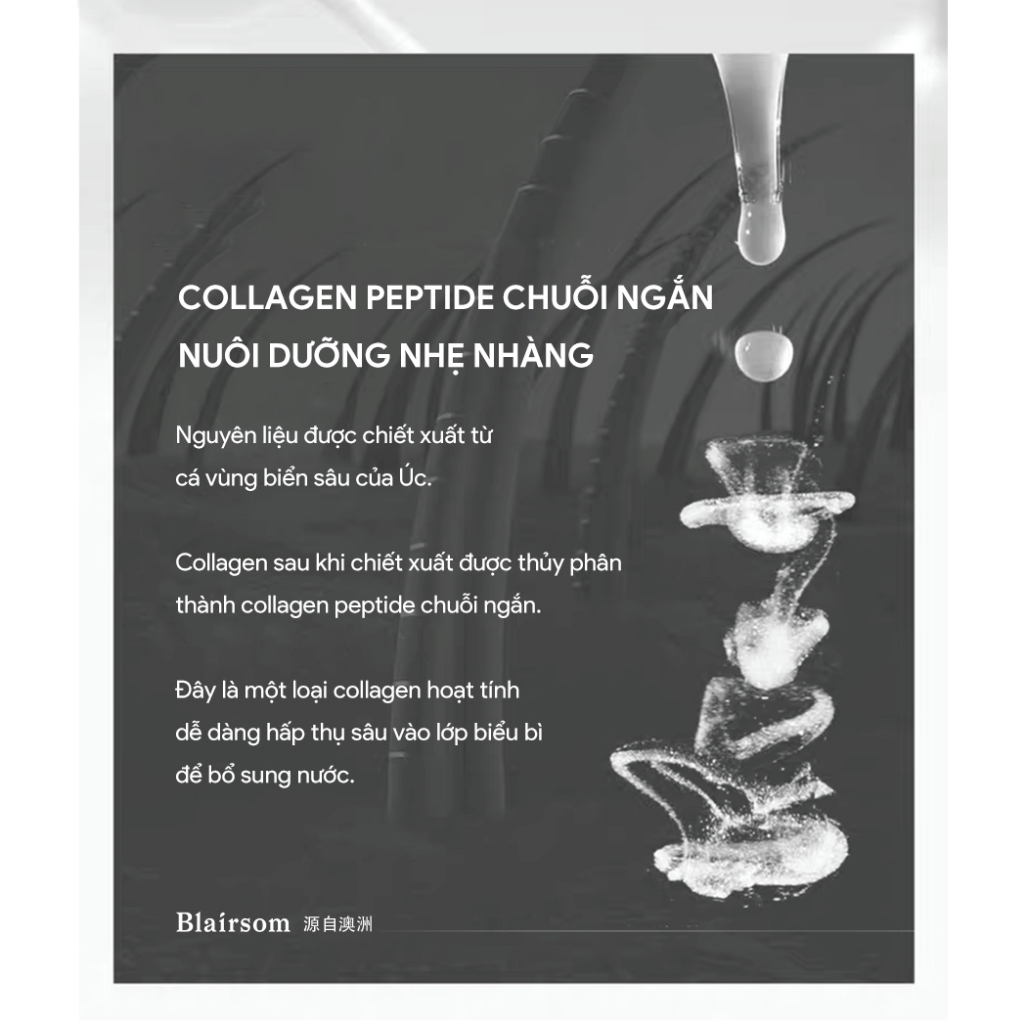 Bộ combo gội xả Kiềm dầu hiệu quả Thảo Mộc giảm ngứa 500ml Blairsom Úc(dành cho tóc dầu, tóc thường)