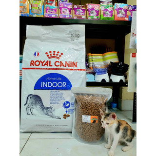 [Hỏa Tốc] 500g / 1kg / 2kg - Hạt ROYAL CANIN INDOOR Cho Mèo Lớn