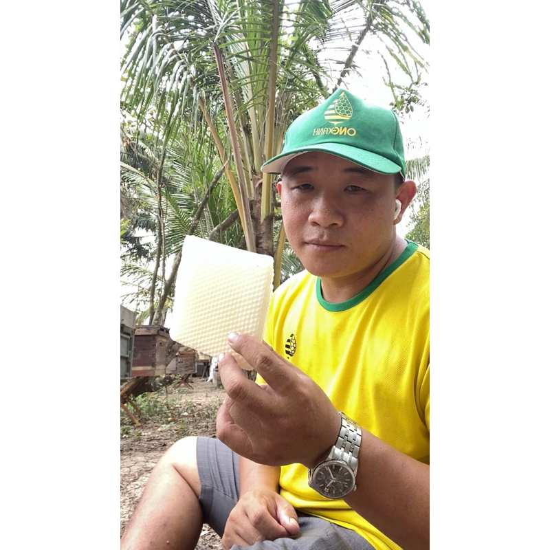 Sáp thu hút ong chuyên dụng