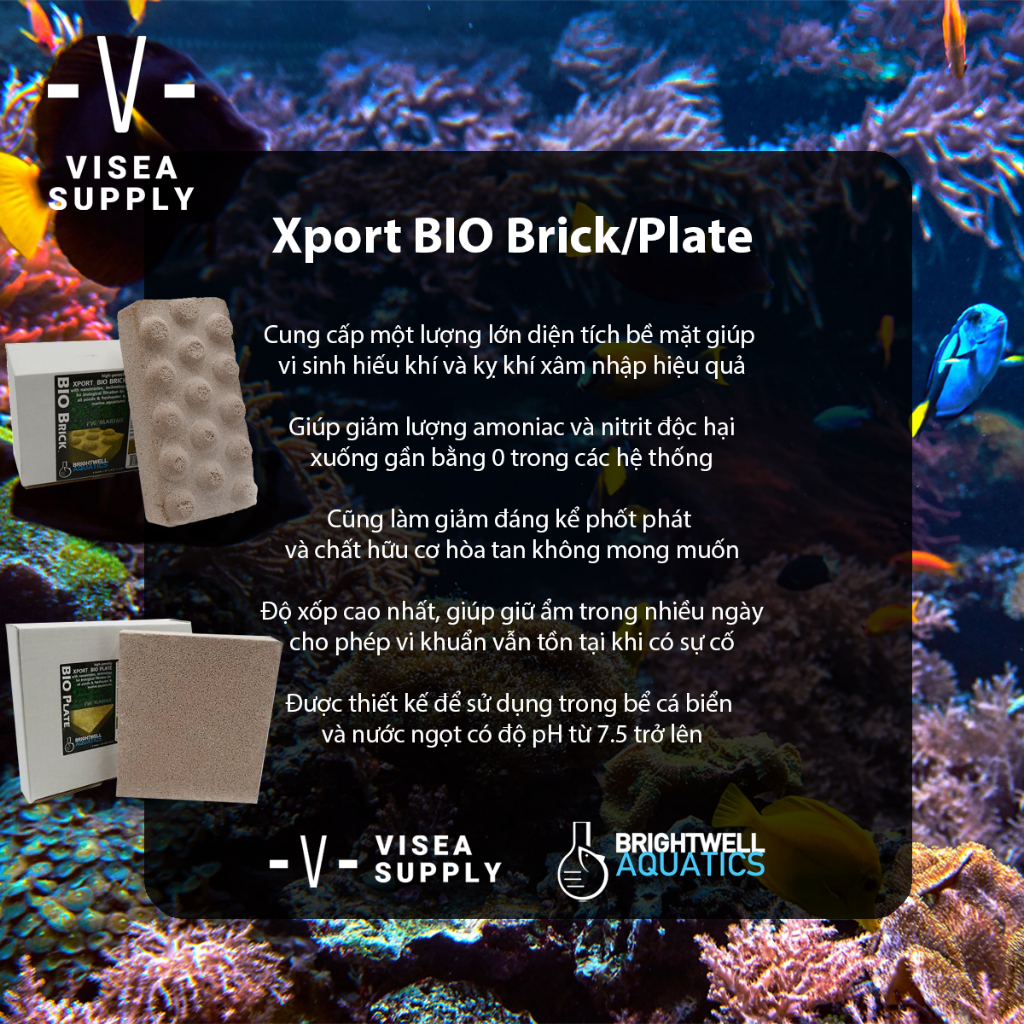 BrightWell Aquatics Xport BIO Dimpled Brick/ Plate - Vật liệu lọc bể cá ...