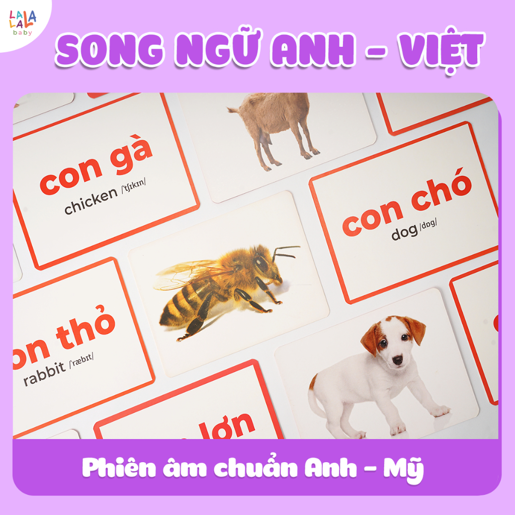 Bộ thẻ học thông minh Flashcard Glenn Doman đồ chơi giấy cho bé sơ sinh đồ chơi giáo giục sớm Lalala baby