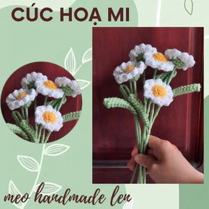 Hoa cúc họa mi handmade len - Crochet - Amigurumi
