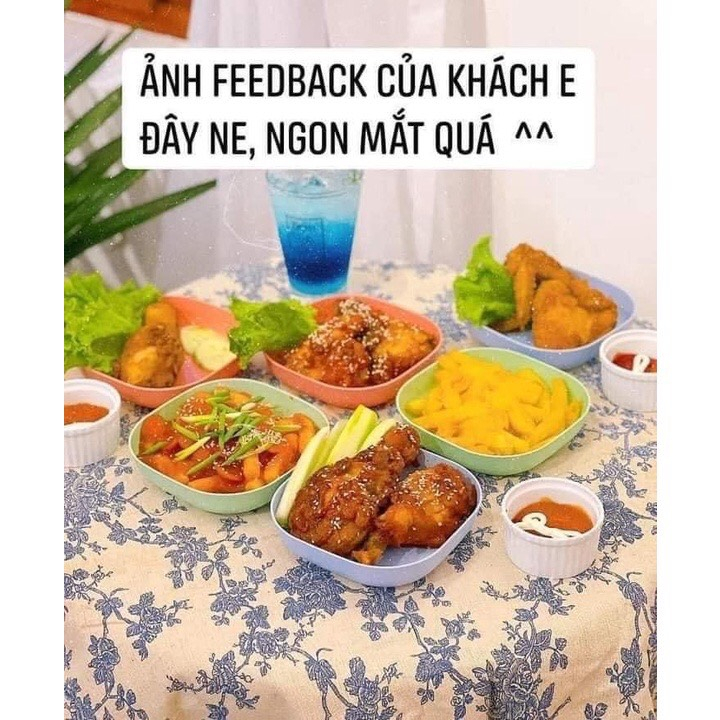 Set 8 Dĩa Nhựa Lúa Mạch  -  (4 cạn + 4 Sâu) Tone Màu Pastel Siêu Dễ Thương