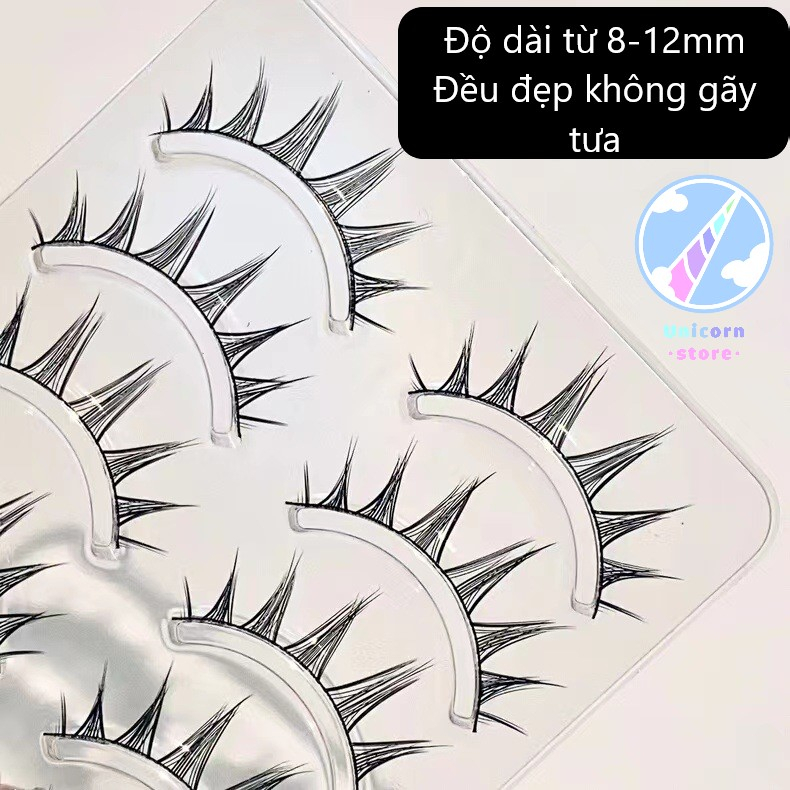 Bộ 5 Cặp Lông Mi Giả Cong Dày Trong Suốt Tự Nhiên Phong Cách Âu Á Faiccia