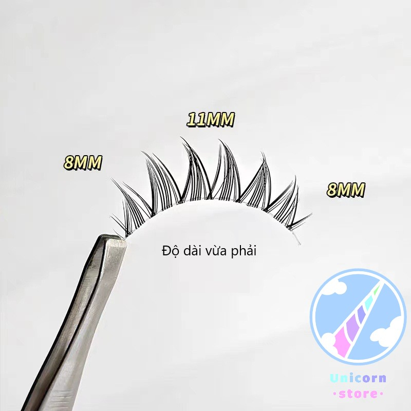 Bộ 5 Cặp Lông Mi Giả Cong Dày Trong Suốt Tự Nhiên Phong Cách Âu Á Faiccia