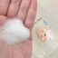 Bọt Vệ Sinh Vùng Kín Rửa Mông Hữu Cơ ORGABEBE Hàn Quốc Cho Bé Từ Sơ Sinh 300ml