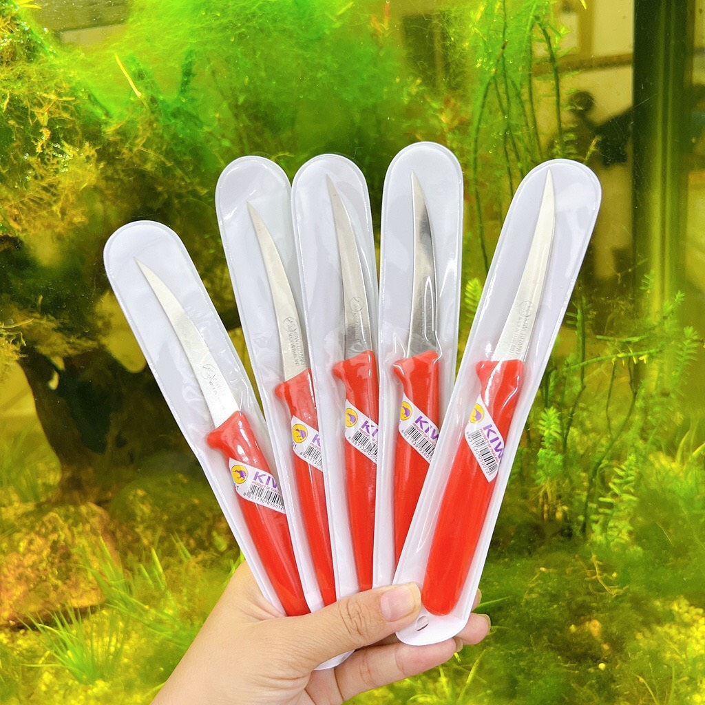 Dao Tỉa - Dao khắc Rau Củ Quả - bằng thép không gỉ  Kiwi