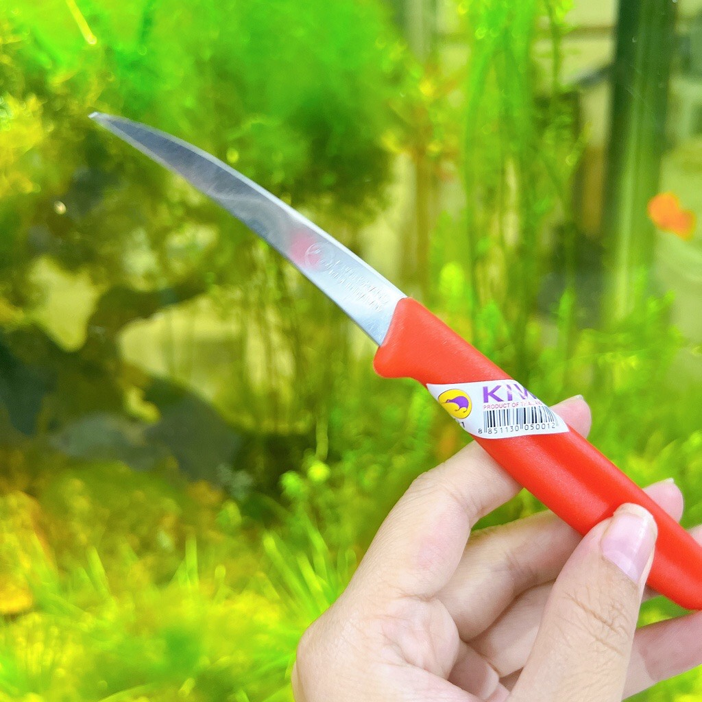 Dao Tỉa - Dao khắc Rau Củ Quả - bằng thép không gỉ  Kiwi