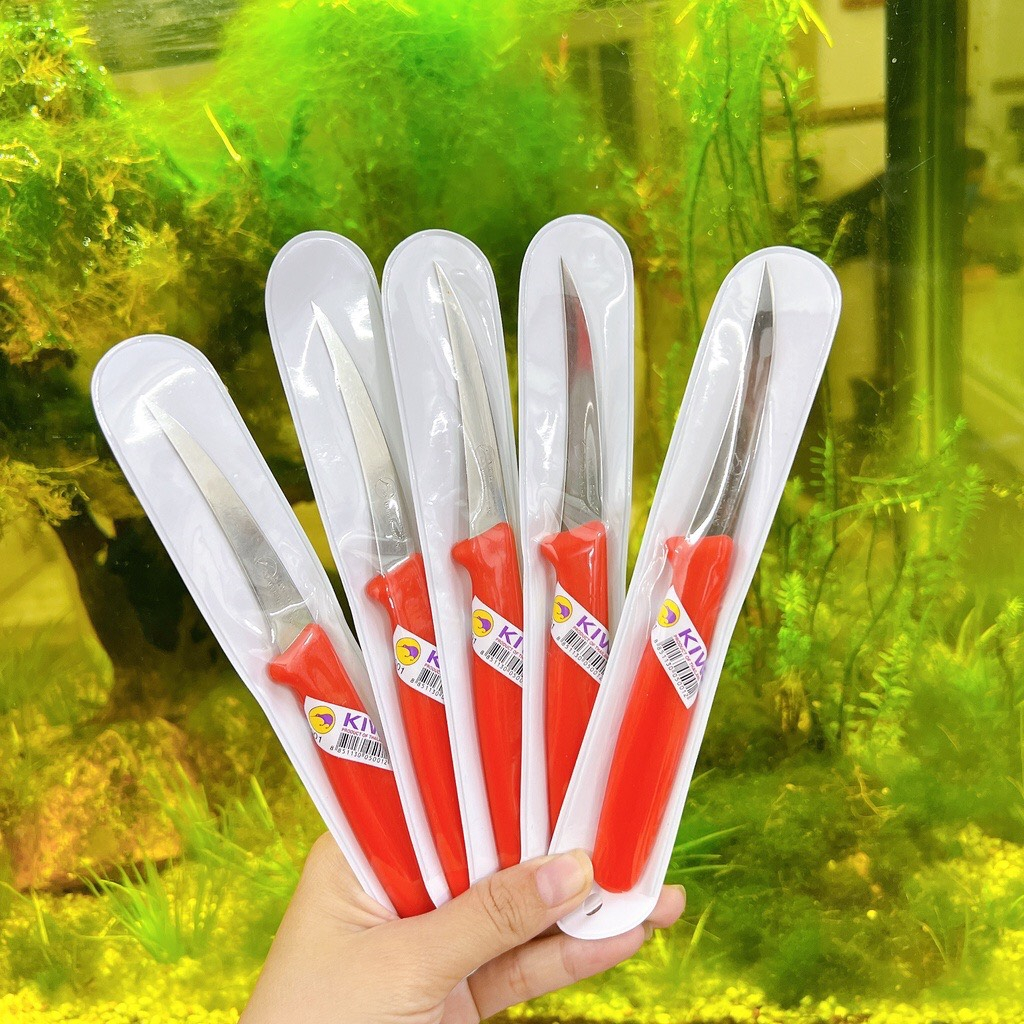 Dao Tỉa - Dao khắc Rau Củ Quả - bằng thép không gỉ  Kiwi