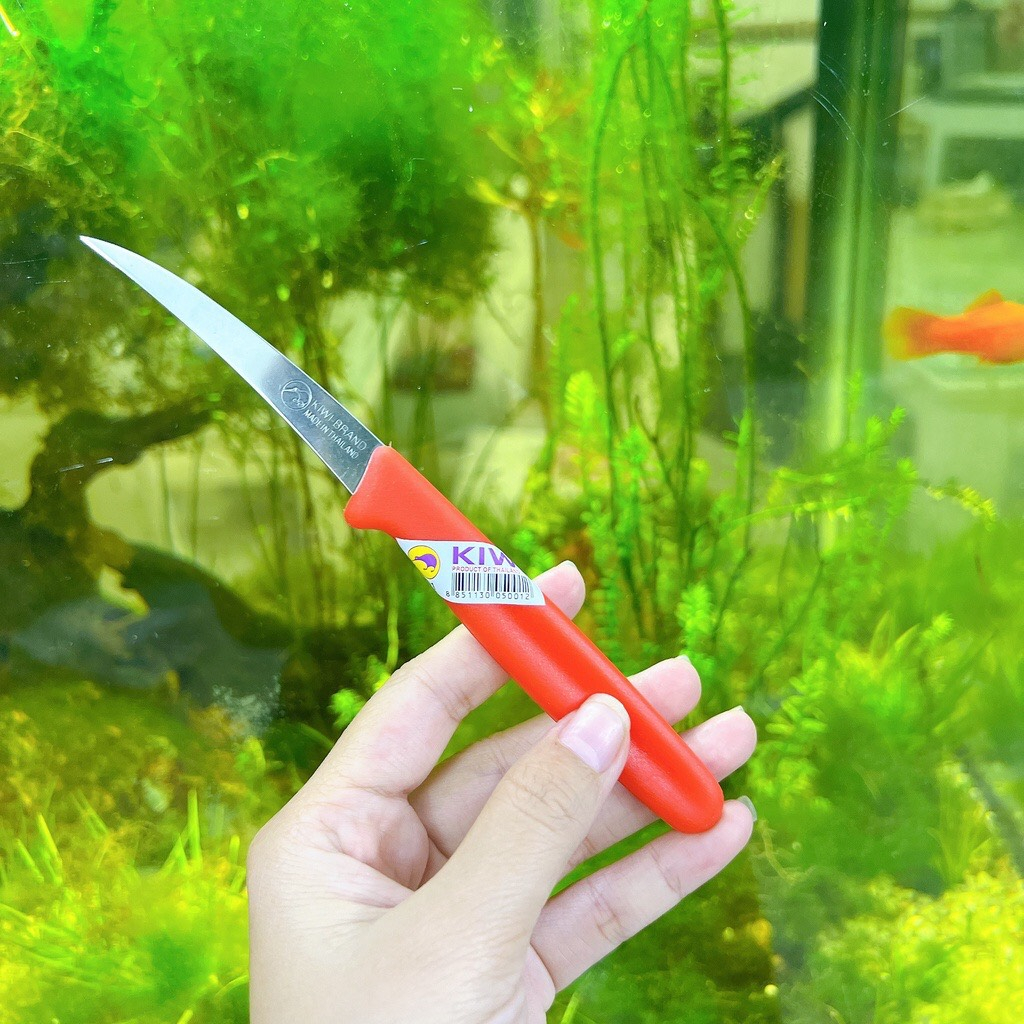 Dao Tỉa - Dao khắc Rau Củ Quả - bằng thép không gỉ  Kiwi