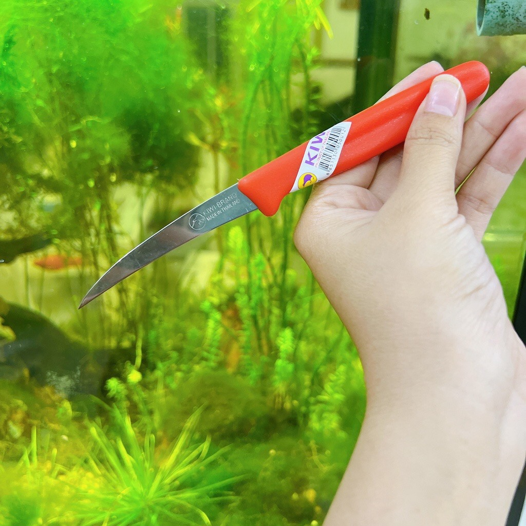 Dao Tỉa - Dao khắc Rau Củ Quả - bằng thép không gỉ  Kiwi
