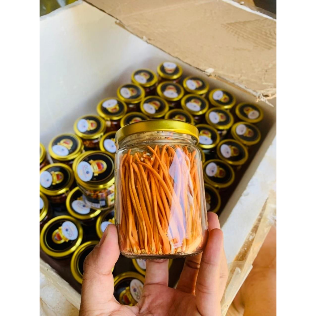 Đông trùng hạ thảo khô, Nấm Đông trùng hạ thảo sấy thăng hoa nguyên sợi Huy Cương thượng hạng (10gr-20gr)