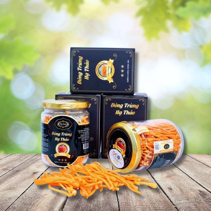 Đông trùng hạ thảo khô, Nấm Đông trùng hạ thảo sấy thăng hoa nguyên sợi Huy Cương thượng hạng (10gr-20gr)