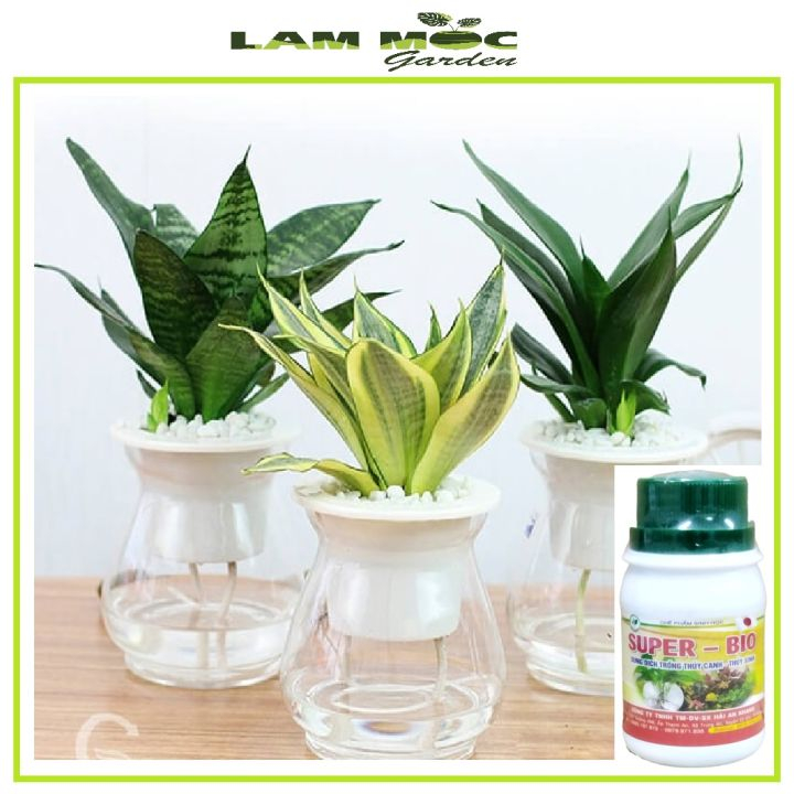 DUNG DỊCH THUỶ CANH-THUỶ SINH SUPER BIO