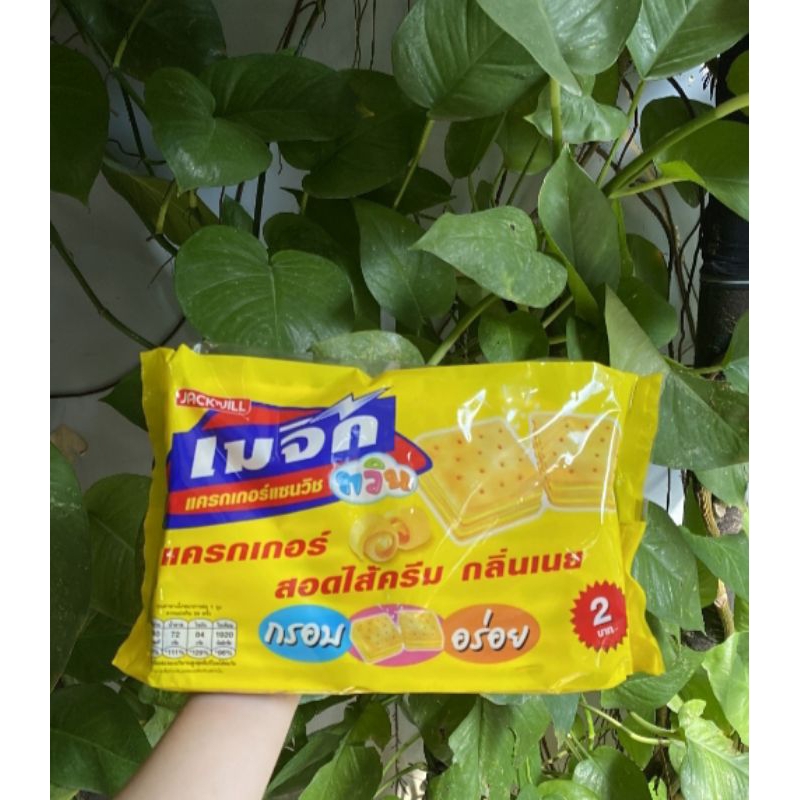 bánh quy magic thái lan bịch 24 cái | Shopee Việt Nam