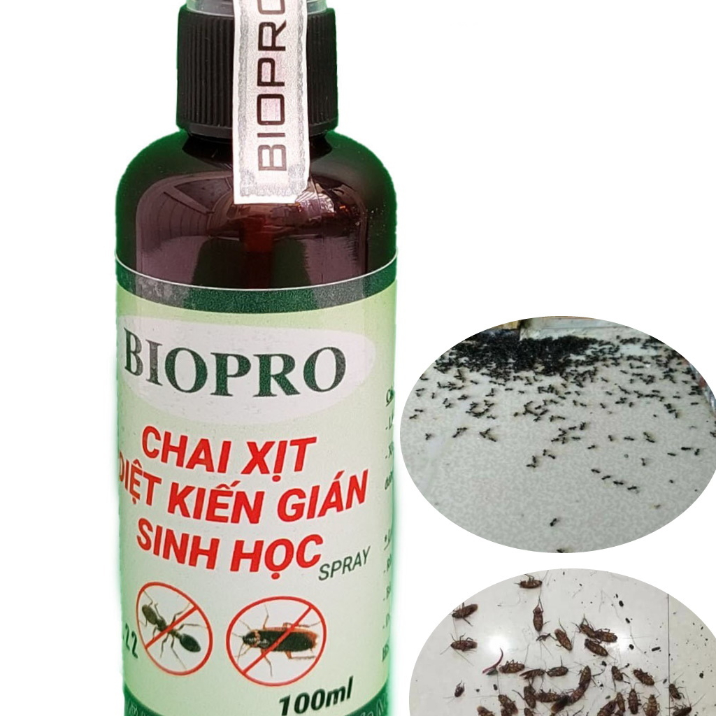 Chai xịt diệt kiến gián Sinh học Biopro Chai 100ml Diệt sạch kiến lửa ...