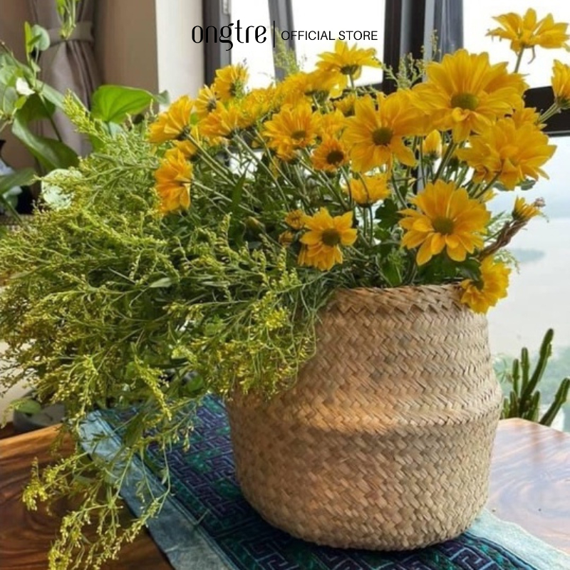 Ảnh Giỏ cói trồng cây ONGTRE có quai dùng đựng quần áo, decor , đựng đồ 4