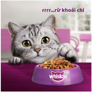Thức ăn mèo Whiskas túi 400g - Thức ăn hạt có nhân Whiskas