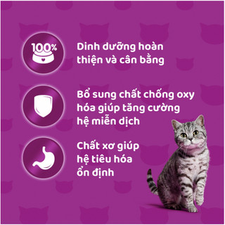 Thức ăn mèo Whiskas túi 400g - Thức ăn hạt có nhân Whiskas