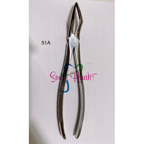 Kềm nhổ răng người lớn Pakistan (Cái) | Shopee Việt Nam