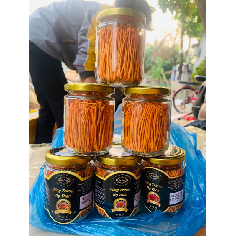 Đông trùng hạ thảo khô, Nấm Đông trùng hạ thảo sấy thăng hoa nguyên sợi Huy Cương thượng hạng (10gr-20gr)