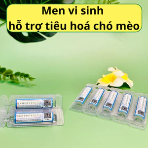 Men vi sinh tăng đề kháng và tính thèm ăn Chó Mèo