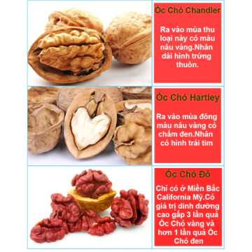 [ TẶNG 25GRAM HẠT CHIA ÚC ] Quả Óc Chó Đỏ Mỹ, Hạt Óc Chó Đỏ Mỹ - Nhân Quả óc chó FONUT nhập khẩu Mỹ