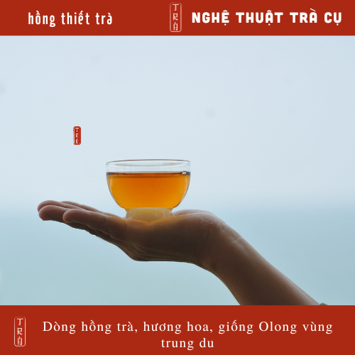 Hồng thiết trà- dòng hồng trà chuẩn công thức trà đạo đóng túi ziper 100gr gói nhỏ 10gr