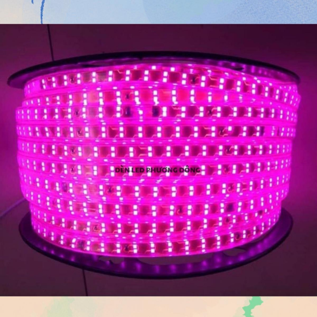 Dây led đôi 2835 - 2 hàng bóng siêu sáng - cuộn 100m