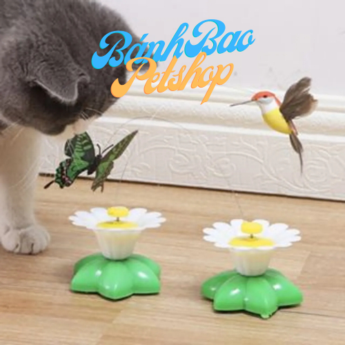 Đồ Chơi Mèo Vờn Bướm Chạy Bằng Pin - Đồ Chơi Tương Tác Dành Cho Mèo ...