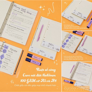 KLONG - Ruột sổ còng cỡ A5 / B5 / A4 - Dash CARO - Dash LINE - 100 tờ 100/76; MS: 520 / 521 / 526 / 527 / 532 / 533 🐻🌻