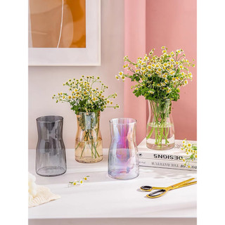 (giá dùng thử) cao 18cm Lọ hoa thủy tinh Daisy - Phong cách bắc âu đơn giản
