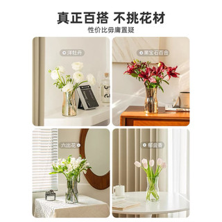 (giá dùng thử) cao 18cm Lọ hoa thủy tinh Daisy - Phong cách bắc âu đơn giản
