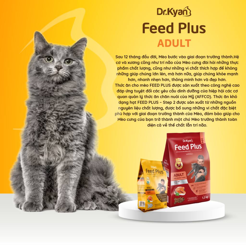 Ảnh Dr.Kyan - Thức ăn hạt cho mèo lớn Feed Plus - Adutl 400g - Vị cá hồi - DrKyan 2