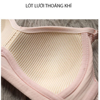 Áo ngực không gọng đệm mỏng nâng ngực cotton gân tăm thông khí King Shop A-414