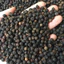 500G TIÊU ĐEN LOẠI CHẮC HẠT, THƠM NỒNG LOẠI 1