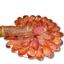 Thịt thăn heo muối Iberico Lomo