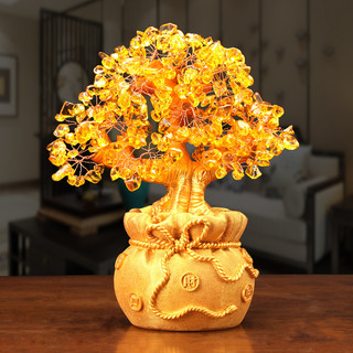 Cây tài lộc, Cây tiền vàng đế túi tiền, Cây kim tiền phong thủy, Decor Trang trí nhà cửa, Quà tặng ý nghĩa - SUNNY