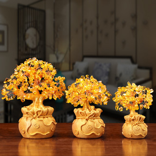 Cây tài lộc, Cây tiền vàng đế túi tiền, Cây kim tiền phong thủy, Decor Trang trí nhà cửa, Quà tặng ý nghĩa - SUNNY
