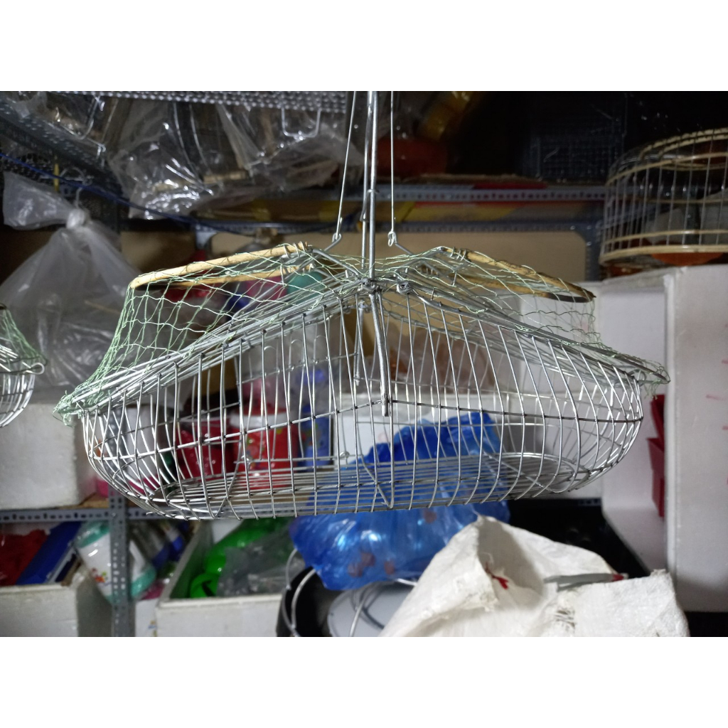 Lồng bẫy chim khuyên, bẫy chim sâu | Shopee Việt Nam