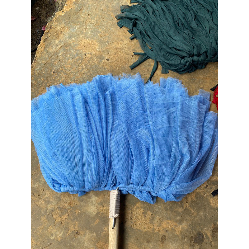 cây lau mùng vải xanh