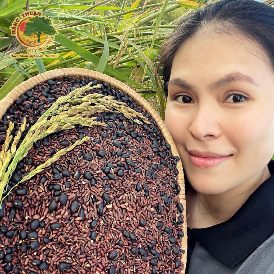 Trà Gạo Lứt Rẫy Đậu Đen Xanh Lòng Hằng Thuận Tây Nguyên, Lợi Mát Sữa, Thanh Nhiệt