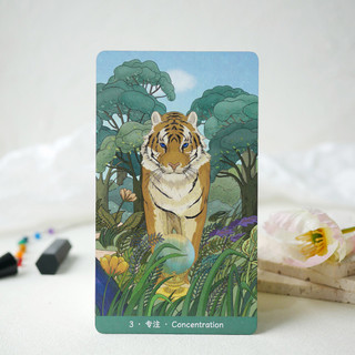 Bộ Bài Nature Enlightenment Cards (Mystic House Tarot Shop) - Bài Gốc Authentic Chính Hãng 100%