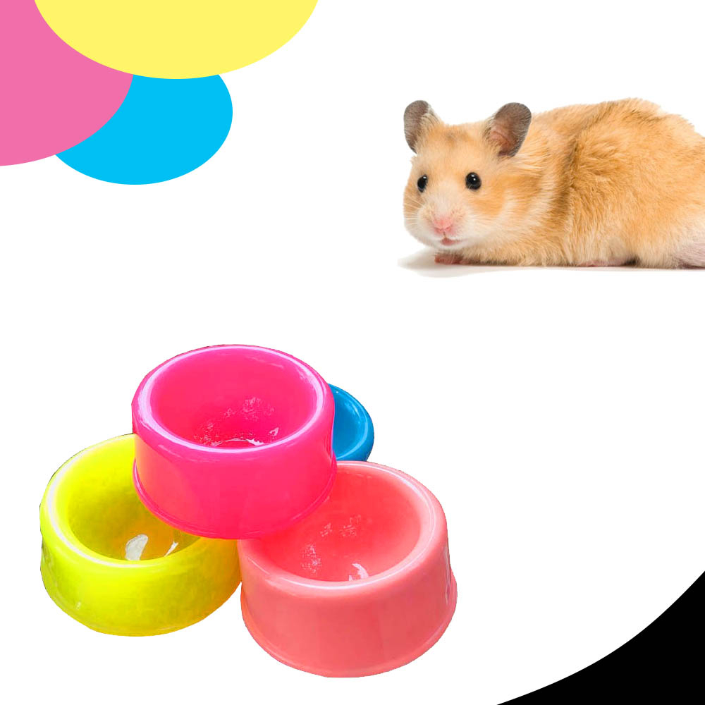 1 Chén Ăn Nhiều Màu Cho HamsterRatĐuôi Mập (Giao Màu Ngẫu Nhiên