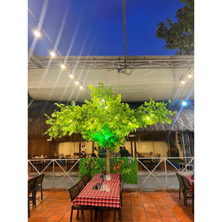 1 BÓ 10 CÀNH Lá Phong Giả - Loại 5 Nhánh Nhỏ & 3 Nhánh To - Lá Phong Xanh Đỏ Trang Trí Quán, Background