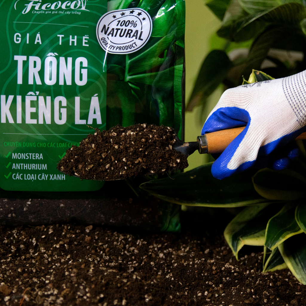 Ảnh Đất trồng kiểng lá, giá thể trồng các cây kiểng lá, cây trong nhà Monstera, Anthurium, Bàng Singapore, túi 7 lít 1