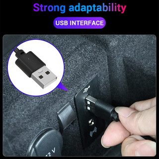 Dây đèn dẫn SEAMETAL 4 bóng 12V chuyên dụng dùng trang trí nội thất ô tô