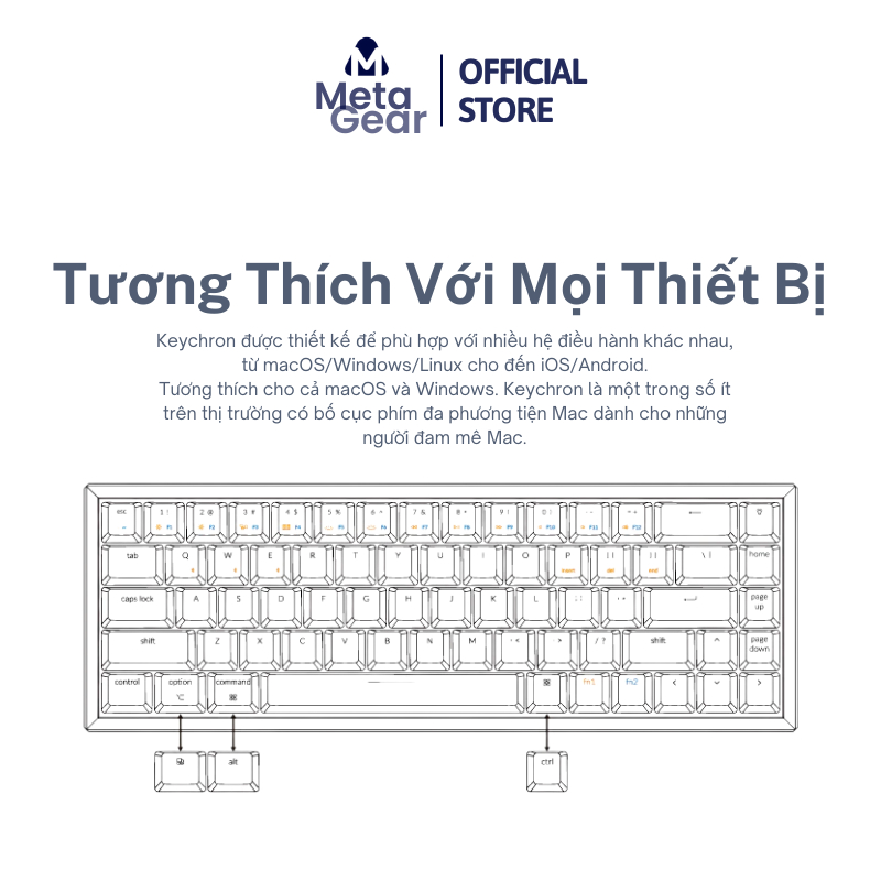 Bàn Phím Cơ Keychron K6 - Bàn Phím Layout 65% Không Dây Bluetooth ...