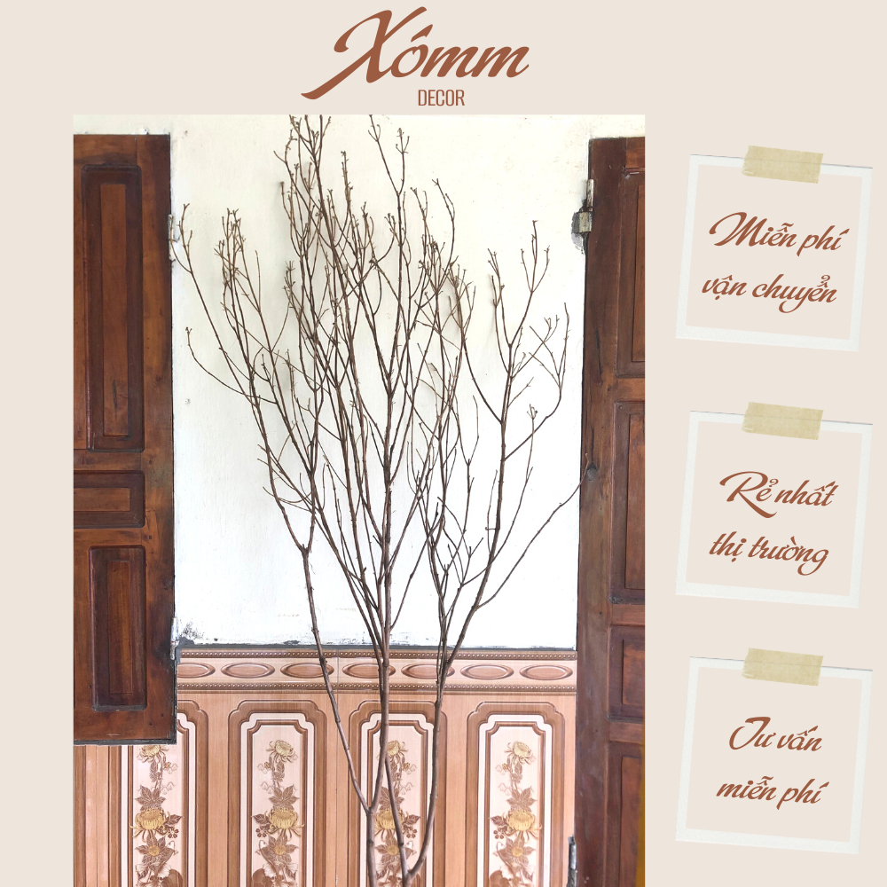 Nhánh cây khô decor trang trí, cành cây khô nhiều nhánh, cây mai đào ...